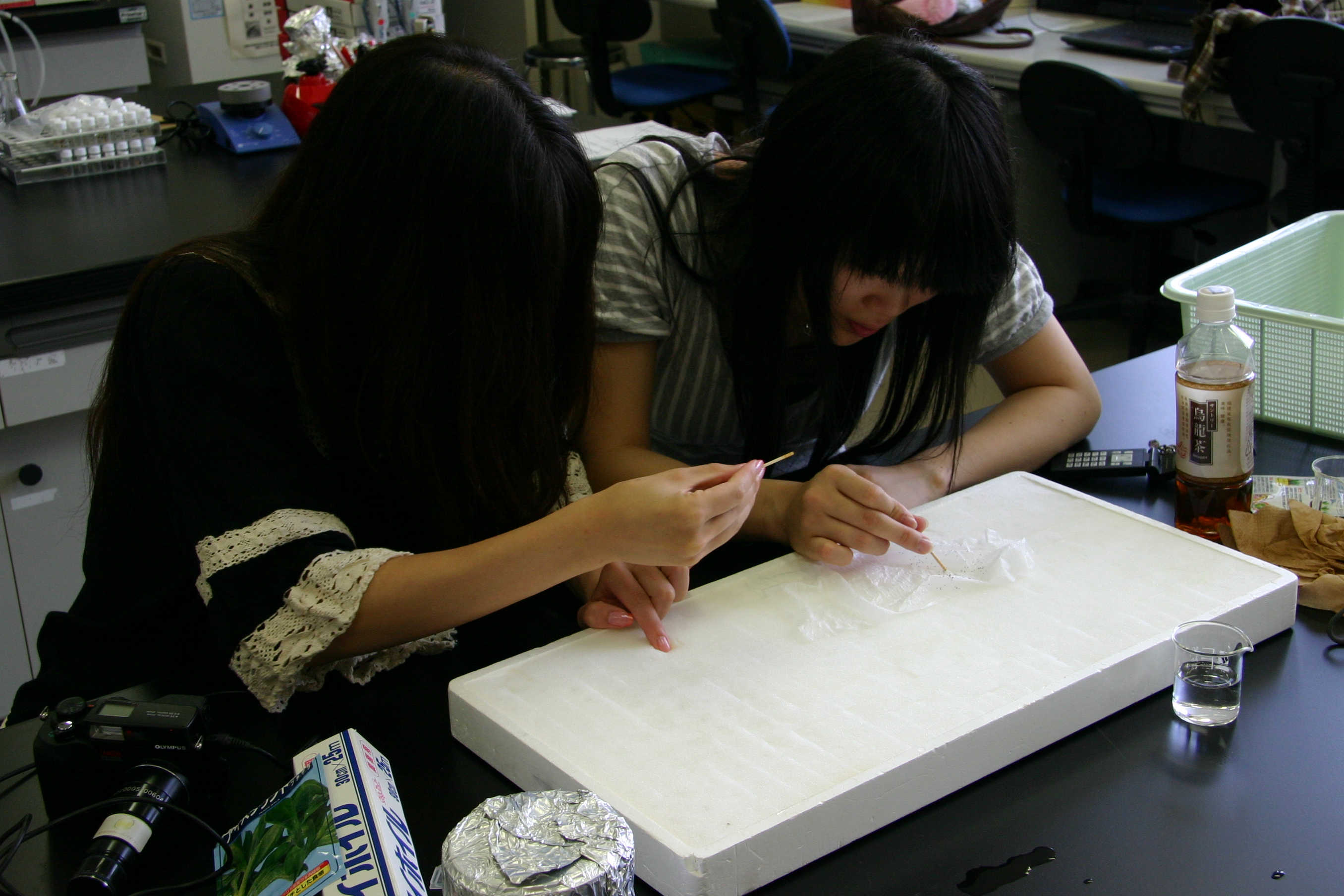 学生自主研究画像